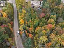 PT LT 26 CON A LOGGERS ROAD | Head, Clara and Maria Ontario | Slide Image Eight