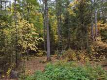 149 BUCKSHOT ROAD | Head, Clara and Maria Ontario | Slide Image Seven