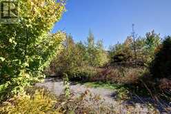 14 THRESHING MILL BOULEVARD | Oakville Ontario | Slide Image Thirty-six