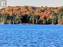 3 WOODLAND LANE | Magnetawan Ontario | Slide Image Three