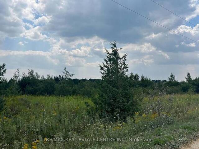 LT11-17 260 SIDE ROAD Melancthon Ontario, L9V 2M7 - Vacant Land For Sale