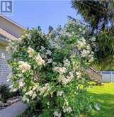 2269 THURSTONIA ROAD | Kawartha Lakes Ontario | Slide Image Three