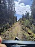 PCL 21518A NELLES | Rainy River Ontario | Slide Image Ten