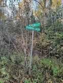 PCL 21518A NELLES | Rainy River Ontario | Slide Image Sixteen