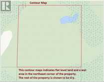 PCL 21518A NELLES | Rainy River Ontario | Slide Image Three