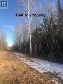 PCL 21518A NELLES | Rainy River Ontario | Slide Image Six
