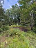 2591 PAPINEAU ROAD | Mattawan Ontario | Slide Image Eight