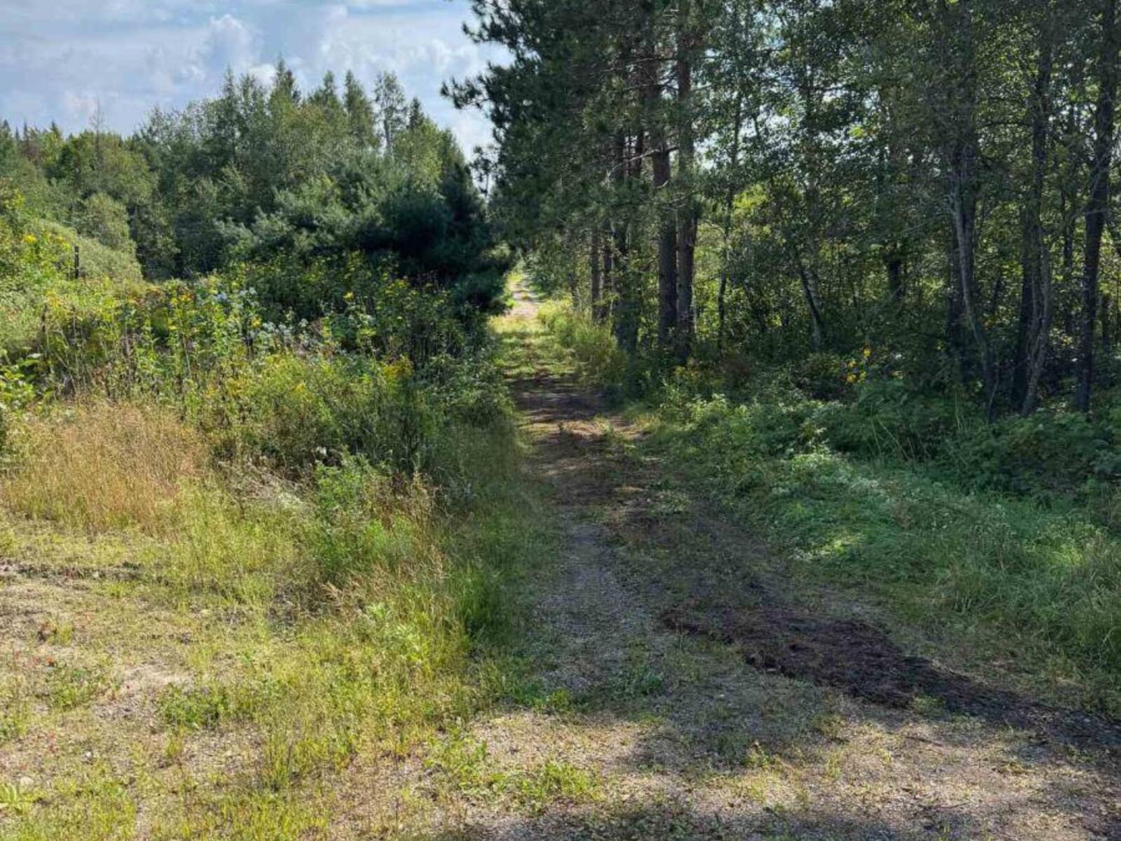 2591 PAPINEAU ROAD, Mattawan, Ontario P0H 1V0