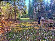 893 YEARLEY ROAD | Huntsville Ontario | Slide Image Three