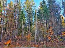 893 YEARLEY ROAD | Huntsville Ontario | Slide Image Six
