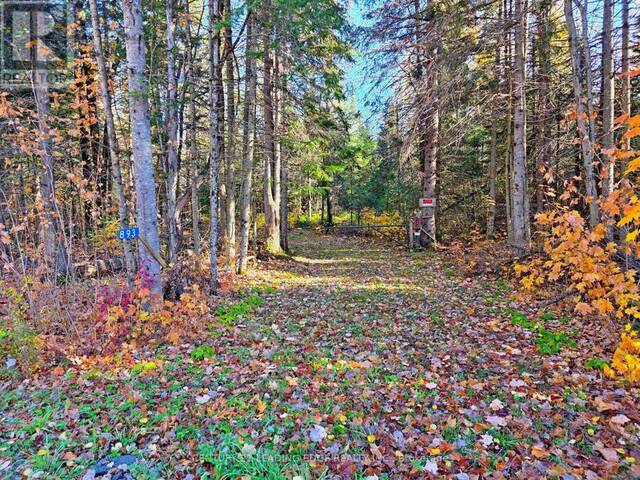 893 YEARLEY ROAD Huntsville Ontario, P0B 1M0 - Vacant Land For Sale