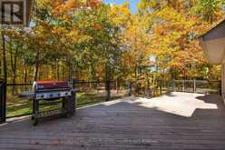 61 WHITE ELM ROAD | Barrie Ontario | Slide Image Thirty-four