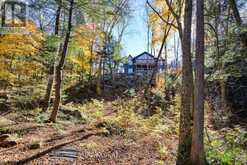 1269 RIL LAKE ROAD S | Baysville Ontario | Slide Image Thirteen