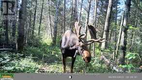 PCL 3898 BRISTOL TOWNSHIP MINING CLAIM P. 8531 | Timmins Ontario | Slide Image Ten