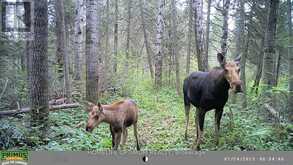 PCL 3898 BRISTOL TOWNSHIP MINING CLAIM P. 8531 | Timmins Ontario | Slide Image Eleven