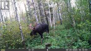PCL 3898 BRISTOL TOWNSHIP MINING CLAIM P. 8531 | Timmins Ontario | Slide Image Twelve
