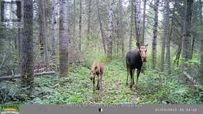 PCL 3898 BRISTOL TOWNSHIP MINING CLAIM P. 8531 | Timmins Ontario | Slide Image Fifteen