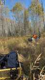PCL 3898 BRISTOL TOWNSHIP MINING CLAIM P. 8531 | Timmins Ontario | Slide Image Four