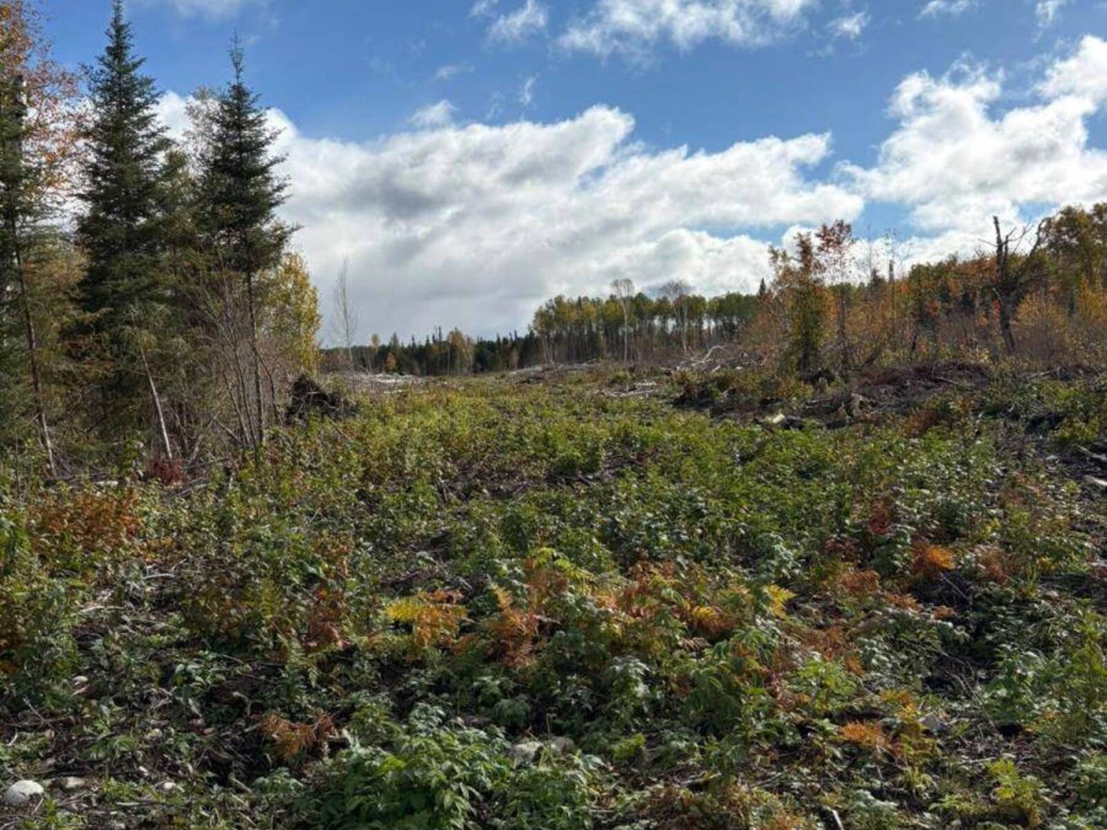 PCL 3898 BRISTOL TOWNSHIP MINING CLAIM P. 8531, Timmins, Ontario P4R 0E7