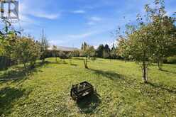 486 CHATHAM STREET | Brantford Ontario | Slide Image Thirty