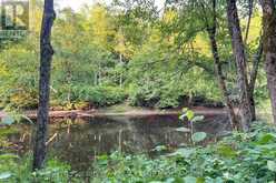 PART LOT 28 CONCESSION 12 BLACK RIVER ROAD | Kawartha Lakes Ontario | Slide Image Ten