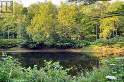 PART LOT 28 CONCESSION 12 BLACK RIVER ROAD | Kawartha Lakes Ontario | Slide Image Eleven