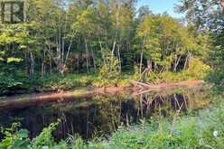 PART LOT 28 CONCESSION 12 BLACK RIVER ROAD | Kawartha Lakes Ontario | Slide Image Twelve