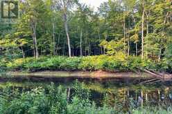PART LOT 28 CONCESSION 12 BLACK RIVER ROAD | Kawartha Lakes Ontario | Slide Image Fourteen