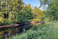 PART LOT 28 CONCESSION 12 BLACK RIVER ROAD | Kawartha Lakes Ontario | Slide Image Fifteen
