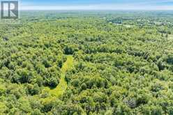 PART LOT 28 CONCESSION 12 BLACK RIVER ROAD | Kawartha Lakes Ontario | Slide Image Four