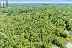 PART LOT 28 CONCESSION 12 BLACK RIVER ROAD | Kawartha Lakes Ontario | Slide Image Five