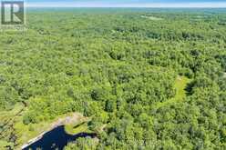 PART LOT 28 CONCESSION 12 BLACK RIVER ROAD | Kawartha Lakes Ontario | Slide Image Six