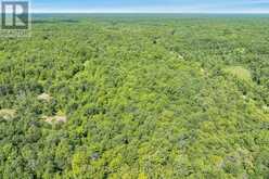 PART LOT 28 CONCESSION 12 BLACK RIVER ROAD | Kawartha Lakes Ontario | Slide Image Seven