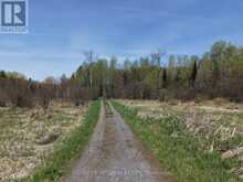 PT LT 4-5 CON 13 HENRY ROAD | Bracebridge Ontario | Slide Image Ten