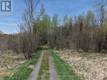 PT LT 4-5 CON 13 HENRY ROAD | Bracebridge Ontario | Slide Image Eleven