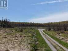 PT LT 4-5 CON 13 HENRY ROAD | Bracebridge Ontario | Slide Image Twelve