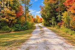 264 MCGUIRE BEACH ROAD | Kawartha Lakes Ontario | Slide Image Forty-eight
