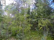 PT 1 6R8933 PLAYFAIR TWP BLUE JAY ROAD | Black River-Matheson Ontario | Slide Image Two