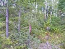 PT 1 6R8933 PLAYFAIR TWP BLUE JAY ROAD | Black River-Matheson Ontario | Slide Image Three