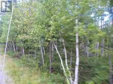 PT 1 6R8933 PLAYFAIR TWP BLUE JAY ROAD | Black River-Matheson Ontario | Slide Image Four