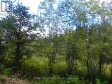 PT 1 6R8933 PLAYFAIR TWP BLUE JAY ROAD | Black River-Matheson Ontario | Slide Image Eight