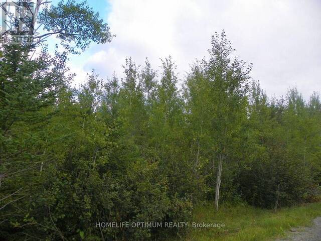 PT 1 6R8933 PLAYFAIR TWP BLUE JAY ROAD Black River-Matheson Ontario, P0K 1R0 - Vacant Land For Sale