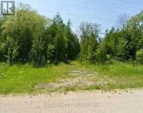 19442 HIGHWAY 6 HIGHWAY | Georgian Bluffs Ontario | Slide Image One
