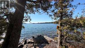 12 LAKE TEMAGAMI ISLAND | Temagami Ontario | Slide Image Ten
