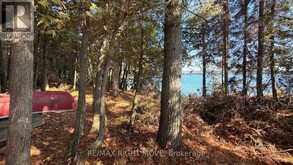 12 LAKE TEMAGAMI ISLAND | Temagami Ontario | Slide Image Eleven