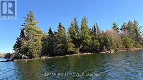 12 LAKE TEMAGAMI ISLAND | Temagami Ontario | Slide Image Twenty-eight
