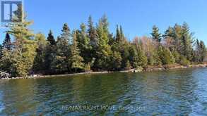 12 LAKE TEMAGAMI ISLAND | Temagami Ontario | Slide Image Twenty-nine