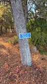 12 LAKE TEMAGAMI ISLAND | Temagami Ontario | Slide Image Three