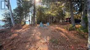 12 LAKE TEMAGAMI ISLAND | Temagami Ontario | Slide Image Five