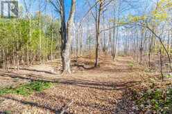 574291 SIDE ROAD 40 | Markdale Ontario | Slide Image Forty-eight